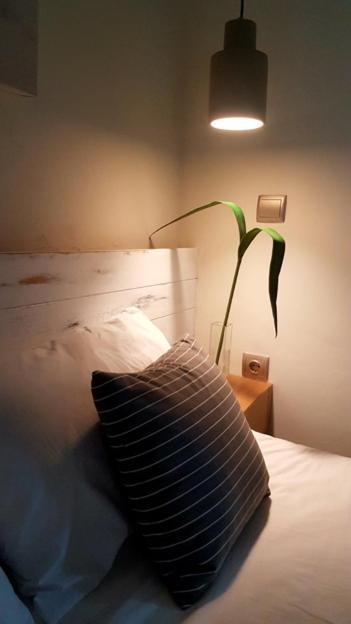 Feel Like Home In Lesvos Mytilíni 外观 照片